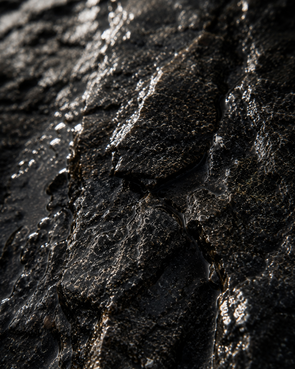 MAVERICK by NIVARO™️